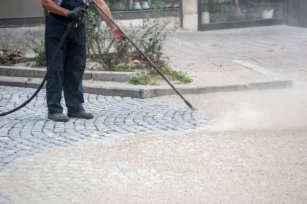 Best Driveway Pressure Washing  in Libertyvle, IL